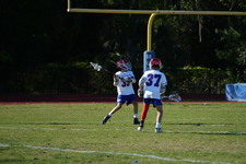 Enlarge photo 335