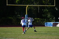 Enlarge photo 334