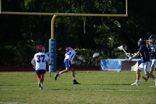 Enlarge photo 339