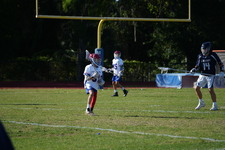 Enlarge photo 367