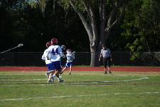 Enlarge photo 377