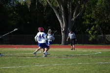Enlarge photo 378