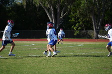 Enlarge photo 397