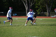 Enlarge photo 399