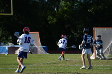 Enlarge photo 457