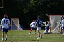 Enlarge photo 462