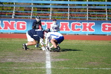 Enlarge photo 494