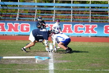 Enlarge photo 498
