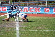 Enlarge photo 501