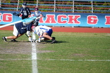 Enlarge photo 502