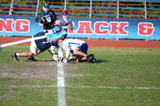 Enlarge photo 503