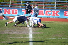 Enlarge photo 506
