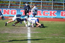 Enlarge photo 507