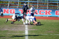 Enlarge photo 508