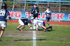 Enlarge photo 513