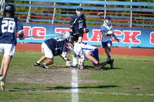 Enlarge photo 514