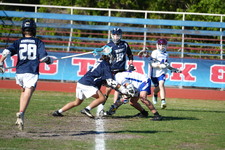Enlarge photo 515