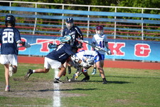 Enlarge photo 517