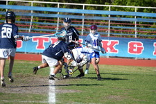 Enlarge photo 518