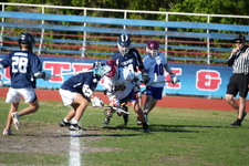 Enlarge photo 522