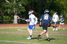 Enlarge photo 533
