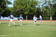 Enlarge photo 563