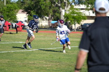 Enlarge photo 592