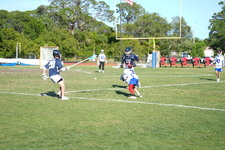 Enlarge photo 628
