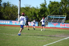 Enlarge photo 636
