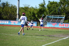 Enlarge photo 637