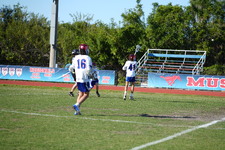 Enlarge photo 639