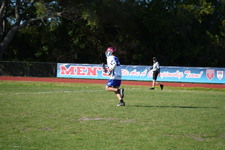 Enlarge photo 642