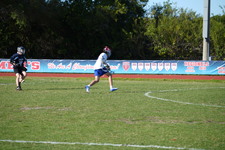 Enlarge photo 717