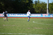 Enlarge photo 720