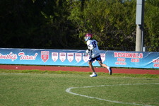 Enlarge photo 725