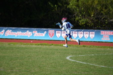 Enlarge photo 728