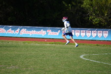 Enlarge photo 730