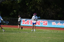 Enlarge photo 733