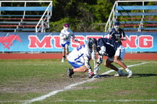 Enlarge photo 837