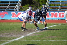 Enlarge photo 843