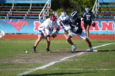 Enlarge photo 845