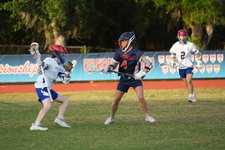 Enlarge photo 62