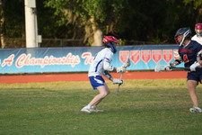 Enlarge photo 63