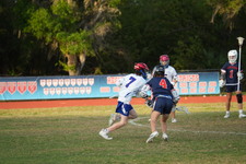 Enlarge photo 71