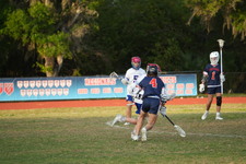 Enlarge photo 73