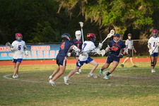 Enlarge photo 77