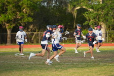 Enlarge photo 135