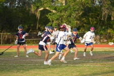 Enlarge photo 137