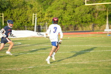 Enlarge photo 153