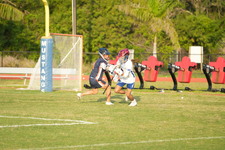Enlarge photo 171